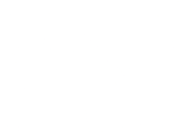 Bisham & Sinaz Advisory